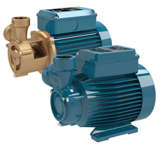 Calpeda CTM 61 close-coupled peripheral pump 230V