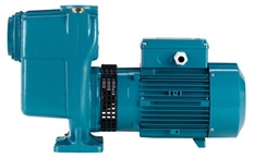 Calpeda AM self-priming centrifugal pump with an open impeller 230V