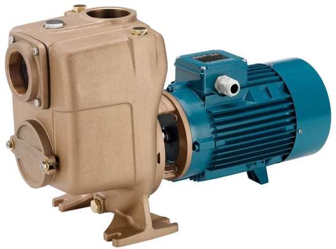Calpeda AM self-priming centrifugal pump with an open impeller 230V
