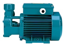 Calpeda TM 230V